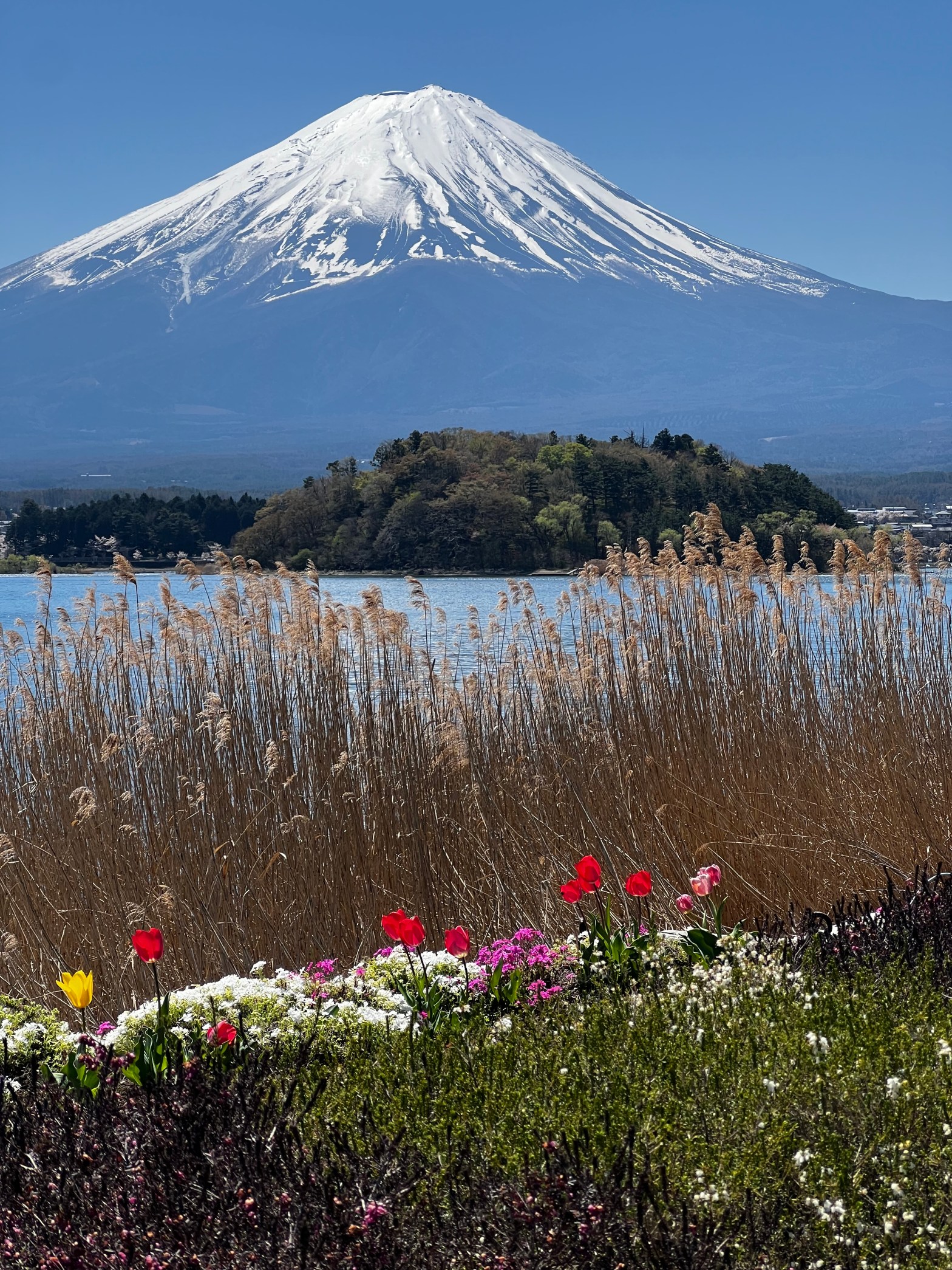 Japan in Heart